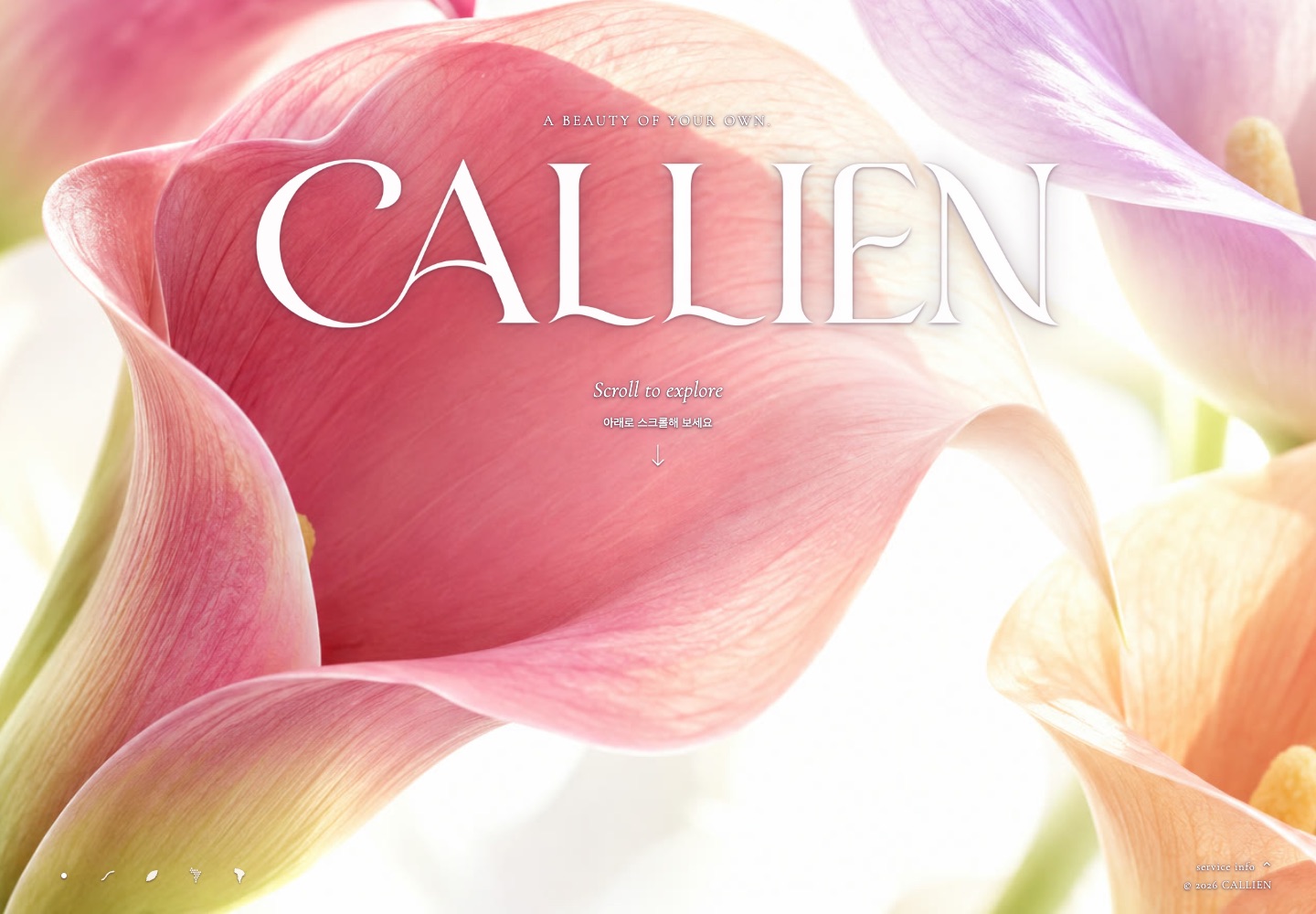 분홍과 보라, 주황빛 칼라 꽃 위에 CALLIEN 워드마크와 ‘A beauty of your own.’ 문구가 놓인 칼리엔 홈페이지 첫 화면