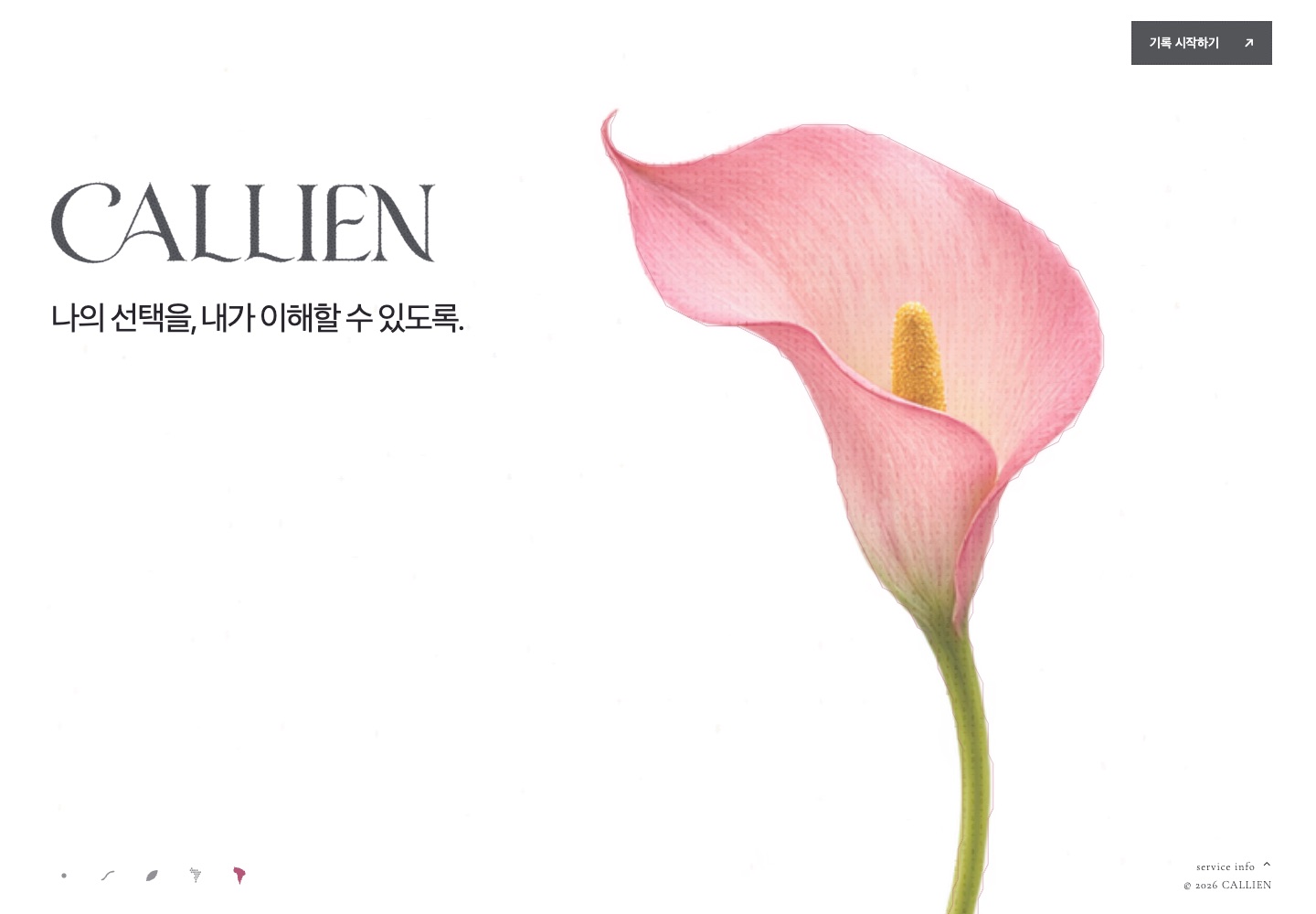 흰 바탕에 분홍 칼라 꽃 한 송이와 ‘나의 선택을, 내가 이해할 수 있도록.’ 문구가 놓인 칼리엔 홈페이지 장면